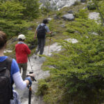 trekking caminata senderos