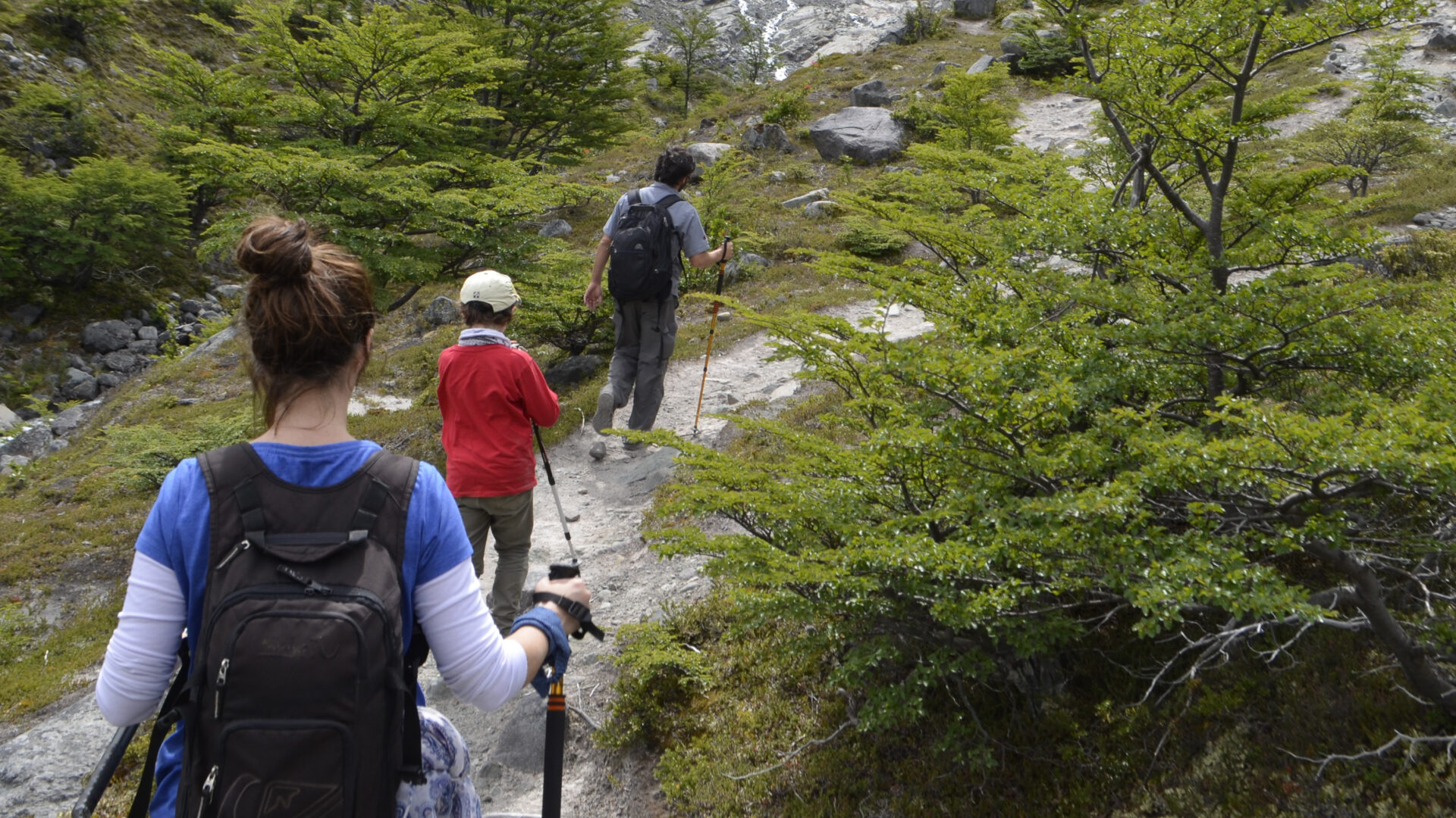 trekking caminata senderos