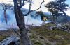 PN Los Glaciares: se suman brigadistas para combatir el incendio en Estancia Cristina
