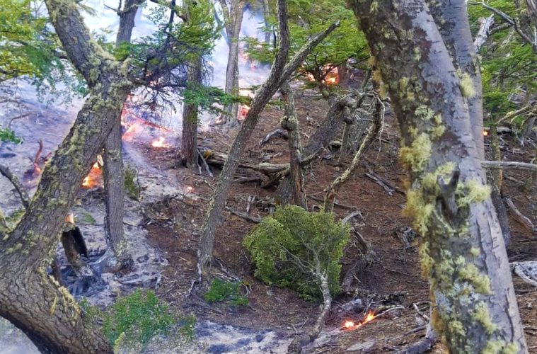 El foco de incendio en Estancia Cristina no avanza aunque arriban más brigadistas a la zona afectada