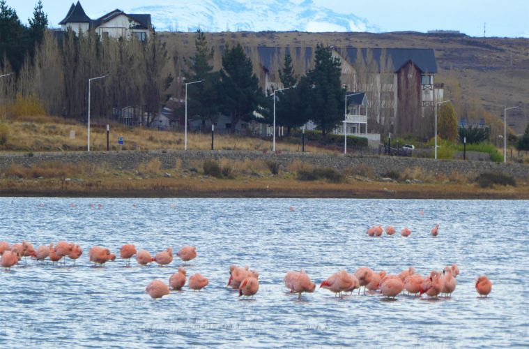 El Calafate no exigirá aislamiento a quienes ingresen por fines turísticos o particulares