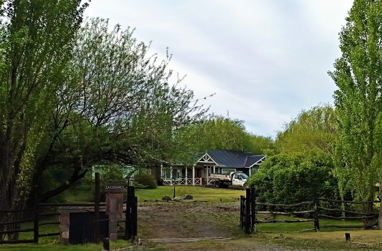 Cristina Kirchner pidió que le devuelvan los hoteles de El Calafate y el condominio de sus hijos Máximo y Florencia