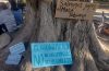 Día Mundial del agua: en El Calafate pidieron que se frene las represas sobre el río Santa Cruz
