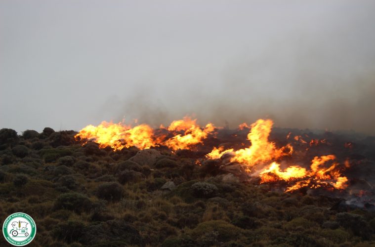 Los detalles del incendio de pastizales en cercanías de El Chaltén, que fue contenido anoche