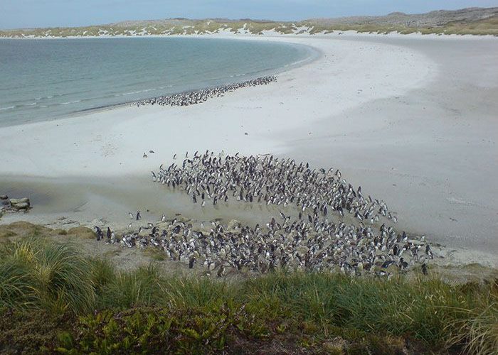 En julio se restablecen los vuelos a Malvinas con escala en Río Gallegos