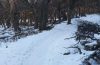 Por hielo en los senderos cerraron el ingreso a la Zona Lago Viedma