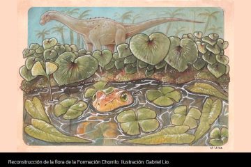 Descubren en Santa Cruz restos vegetales de un ecosistema acuático de fines del Cretácico Tardío
