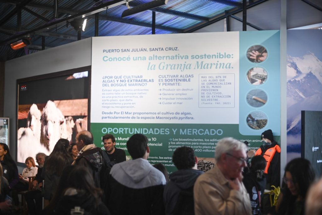 Expo Rural de Palermo: presentaron la primera cosecha del proyecto de macroalgas de Puerto San Julián